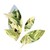 The Scotts Miracle-Gro Company logo