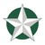TSAOG Orthopaedics & Spine logo