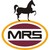 MRS Oil Nigeria Plc logo