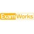 ExamWorks logo