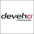 Deveho Consulting Group logo