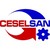 Ceselsan Makina logo