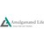 Amalgamated Life Insurance Company logo