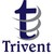 Trivent Systems Pvt Ltd logo