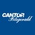 Cantor Fitzgerald Ireland logo