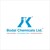 Bodal Chemicals Ltd logo