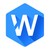 WizyEMM logo