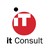 IT Consult logo
