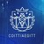COITT Logo