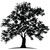 White Oak Global Advisors logo