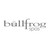 Bullfrog Spas logo