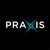 Praxis Precision Medicines, Inc. logo