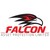 Logo di Falcon Asset Protection Limited