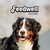 Feedwell Dog Food logo