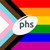 phs Group logo