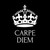 Carpe Diem Team logo