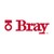 Bray LATAM logo