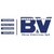 Buenos Vientos Obras Electricas SpA logo