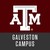 Texas A&M University Galveston Campus logo