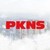 PKNS OFFICIAL logo