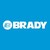 Brady Services logo