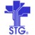 Systems Technology Group, Inc. (STG) logo