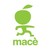 Macè Fruit - Gruppo Holding Pivetti Spa logo