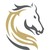 Stallions Solutions | Transforming Businesses with AI, Microsoft Dynamics 365 & Copilot logo
