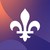Ministère de la santé et des services sociaux logo