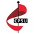 Community & Public Sector Union (CPSU - PSU Group) logo