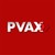 PVAX Consultoria e Logística logo