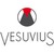Vesuvius Flow Control Digital Services logo