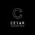 César - Chauffeur Privé logo