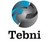 Grupo Tebni logo