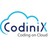 Codinix Technologies Inc. logo