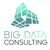 Big Data Consulting logo