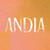 ANDIA logo