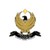 Kurdistan Regional Government logo