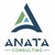 ANATA CONSULTING - Pure Player Data / BI logo