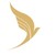Varesh Airlines logo