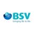 Bharat Serums and Vaccines Limited logo