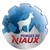 Forges de Niaux logo