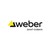 Saint-Gobain Weber Colombia logo