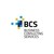 BCS BUSINESS CONSULTING SERVICES logo