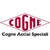 Cogne Acciai Speciali S.p.A. logo