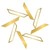 Darkstar Coffee Roasters logo