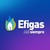 EFIGAS logo