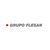 Grupo Flesan Chile logo