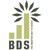 B D Shah Securities Ltd logo