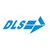 DLS - Diligence Location & Services logo